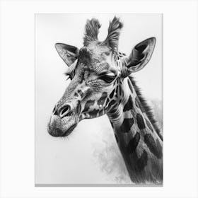 Giraffe Pencil Portrait 1 Canvas Print