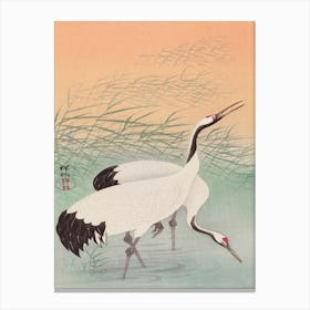 Two Cranes (1925 1936), Ohara Koson Canvas Print