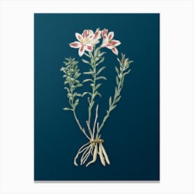 Vintage Lily of the Incas Botanical Art on Teal Blue n.0251 Canvas Print