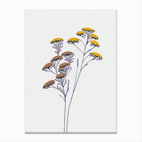 Yarrow Floral Minimal Line Drawing 3 Flower Canvas Print