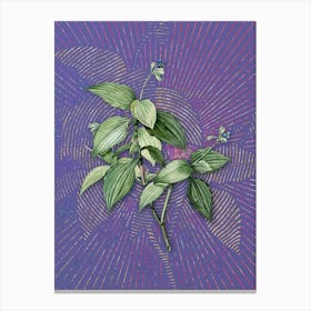 Vintage Tradescantia Erecta Botanical Illustration on Veri Peri n.0923 Canvas Print