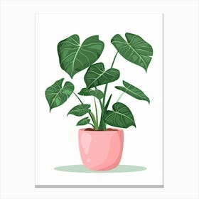 Plant In A Pot 34 Canvas Print