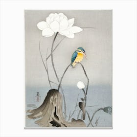 Kingfisher With Lotus Flower (1900 1945), Ohara Koson Canvas Print