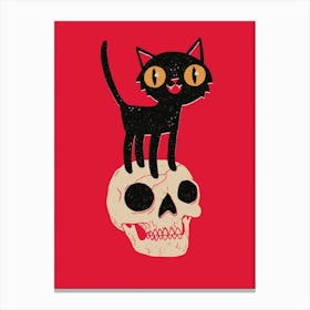 Look What The Cat Dragged In Canvas Print