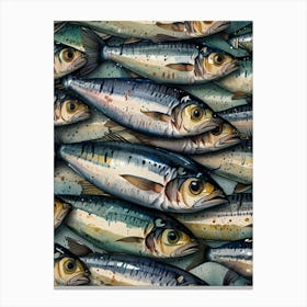 Sardines 20 Canvas Print