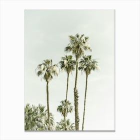 Palm Trees Summertime Canvas Print