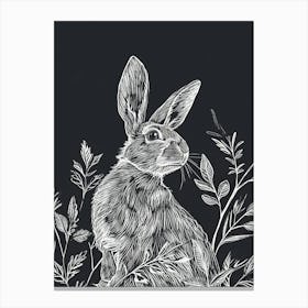 Tans Rabbit Minimalist Illustration 3 Canvas Print