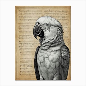 Parrot On Music Sheet Canvas Print
