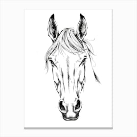 Horse Head Canvas Print