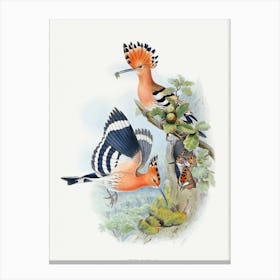 Vintage Bird Art Print Canvas Print