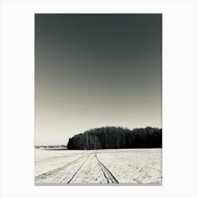 Snowy Road Canvas Print