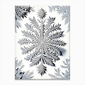 Pattern, Snowflakes, Vintage Botanical Illustration 1 Canvas Print