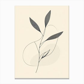 Leaf On A Branch 1 Canvas Print