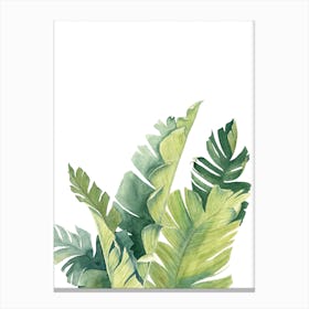 Bananenblatter Canvas Print
