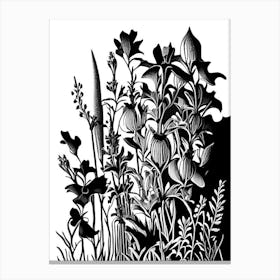 Larkspur Wildflower Linocut 2 Canvas Print