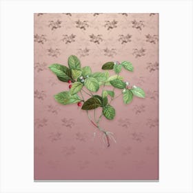 Vintage American Wintergreen Plant Botanical on Dusty Pink Pattern n.2191 Canvas Print
