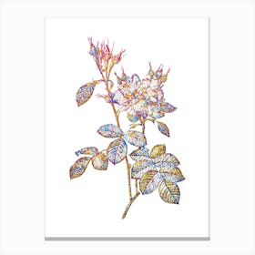 Stained Glass Autumn Damask Rose Mosaic Botanical Illustration on White n.0057 Canvas Print