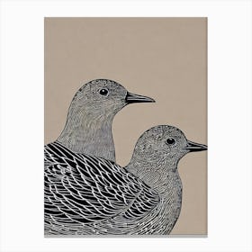 Grey Plover Linocut Bird Canvas Print