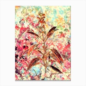 Impressionist Sage Plant Botanical Painting in Blush Pink and Gold Canvas Print