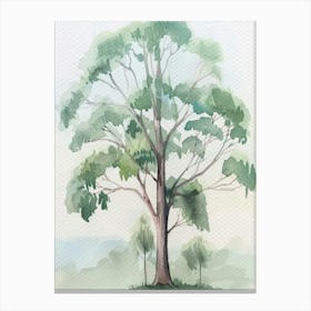 Eucalyptus Tree Atmospheric Watercolour Painting 2 Canvas Print