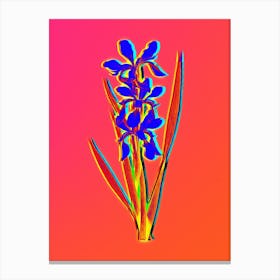 Neon Yellow Banded Iris Botanical in Hot Pink and Electric Blue n.0396 Canvas Print
