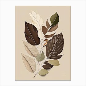 Olive Leaf Earthy Line Art Canvas Print
