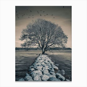 Lone Tree 1 Canvas Print