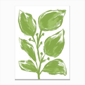 Big Green Leaves Canvas Print