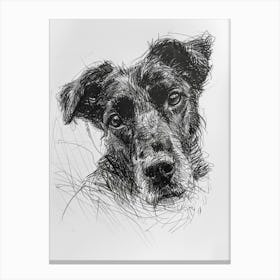 Beauceron Dog Line Sketch  4 Canvas Print