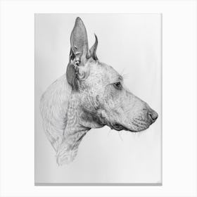 Bull Terrier Dog Line Sketch 2 Canvas Print