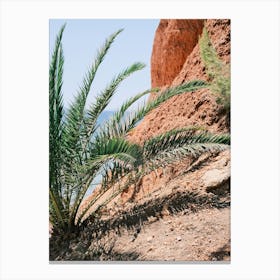 Sea, Red Rock & Palms // Ibiza Nature & Travel Photography Canvas Print