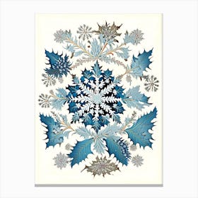 Snowflakes In The Snow,  Snowflakes Vintage Botanical 1 Canvas Print