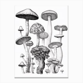 Mushroom Drawing B&W 5 Canvas Print
