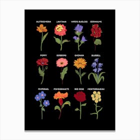 Flowers Of The World Canvas Print