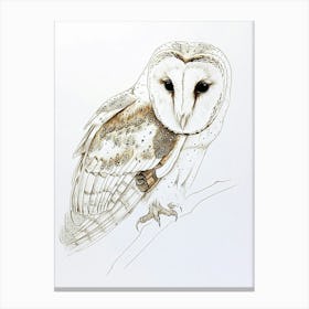 Barn Owl Drawing 4 Canvas Print