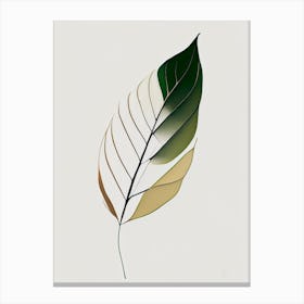 Olive Leaf Abstract 3 Canvas Print