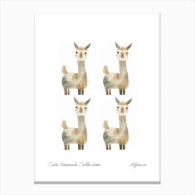 Cute Animals Collection Alpaca 3 Canvas Print