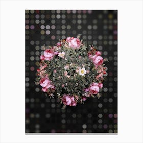 Vintage Pink Hedge Rose in Bloom Flower Wreath on Dot Bokeh Pattern Canvas Print