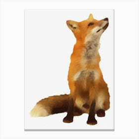 Red Fox Canvas Print