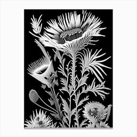 Thistle Wildflower Linocut 2 Canvas Print