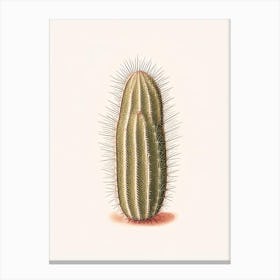 Pincushion Cactus Marker Art 3 Canvas Print