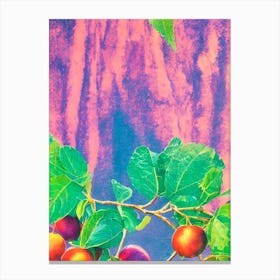 Golden Berry Risograph Retro Poster Fruit Canvas Print