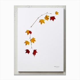 Autumn Leaves Scattered Asymmetrically Across A White Canvas Single Red Berry Placed Off Center Em (2) Canvas Print