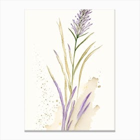 Psyllium Herb Minimalist Watercolour 2 Canvas Print