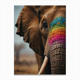 Rainbow Elephant Canvas Print