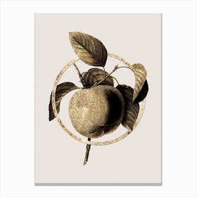 Gold Ring Snow Calville Apple Glitter Botanical Illustration Canvas Print