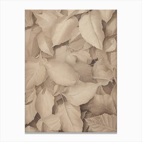 Neutral Autumn Leaf Canvas Print