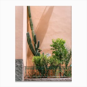Cactus Plants against pink Wall in Fes, Morocco | Colorful travel photography Canvas Print