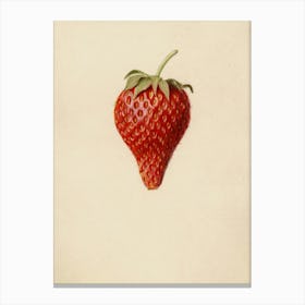 Strawberry 4 Canvas Print