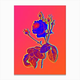 Neon Cabbage Rose Botanical in Hot Pink and Electric Blue Canvas Print
